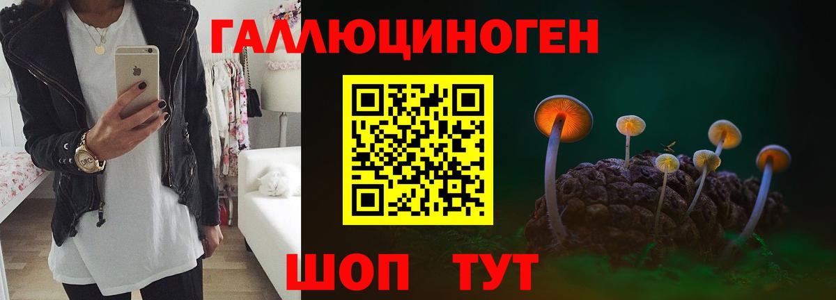 Псилоцибиновые грибы Cubensis  Галлюциногенные грибы Psilocybine cubensis  Соликамск  Вход с VPN 